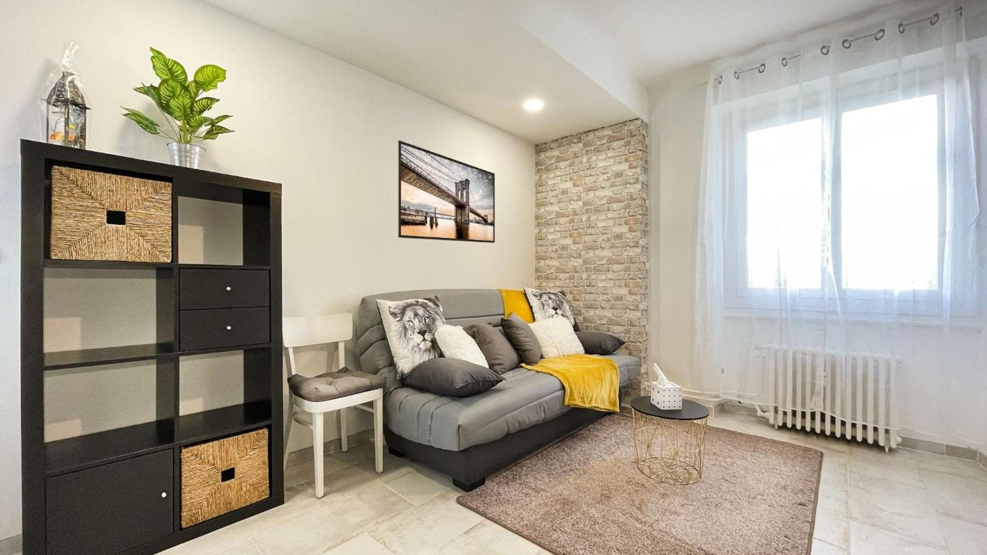 Ambilly Homey Keola - Parking Prive Gratuit - Aux Portes De Geneve - Au Pied Du Tram - Appartement Avec 1 Chambre Et Un Grand Salon Avec Un Canape-Lit מראה חיצוני תמונה