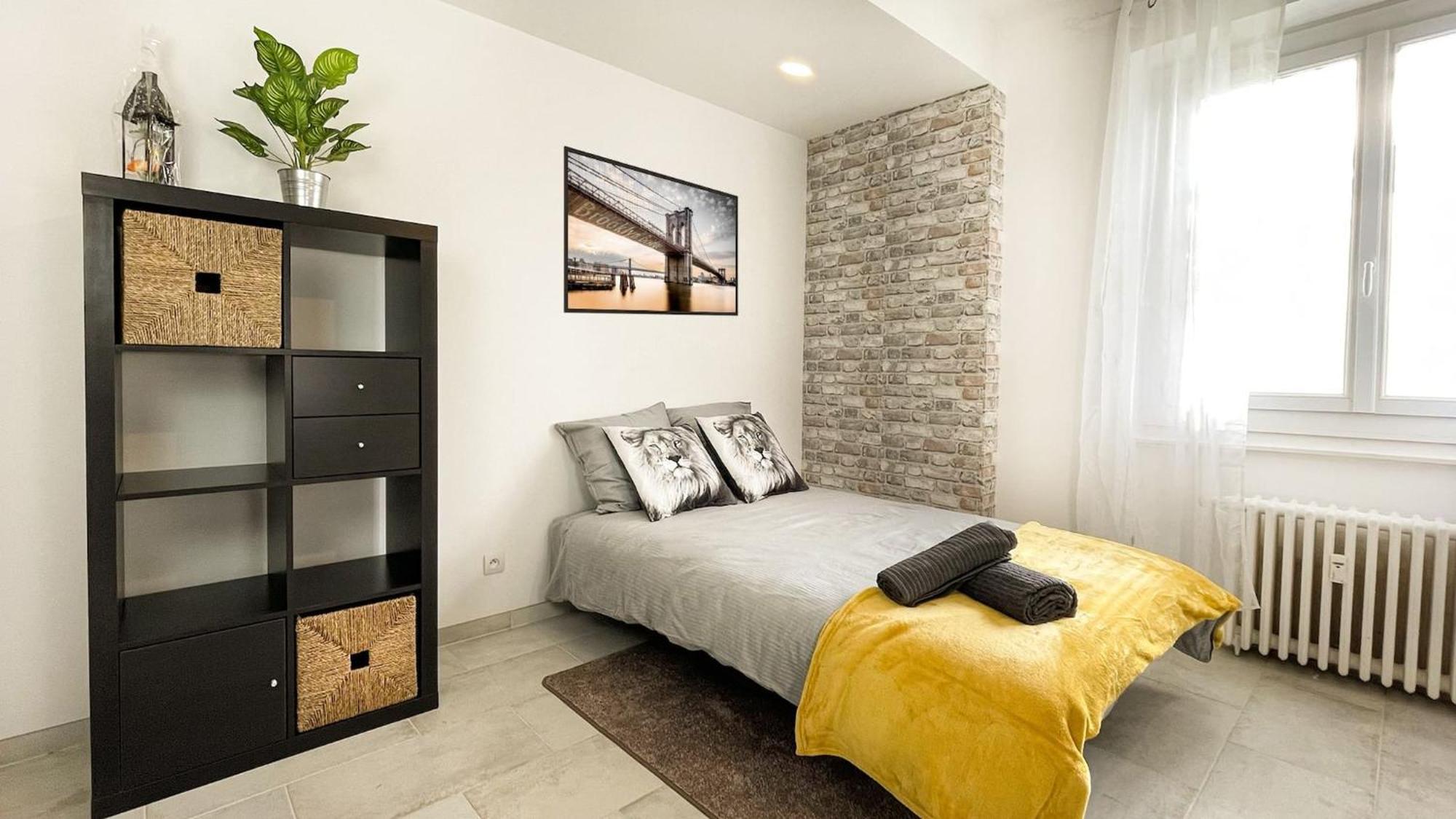 Ambilly Homey Keola - Parking Prive Gratuit - Aux Portes De Geneve - Au Pied Du Tram - Appartement Avec 1 Chambre Et Un Grand Salon Avec Un Canape-Lit מראה חיצוני תמונה